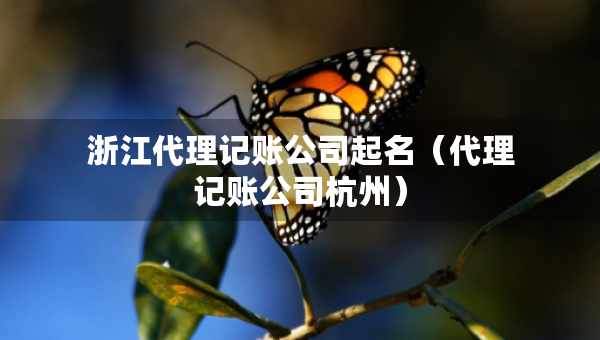 浙江代理记账公司起名（代理记账公司杭州）