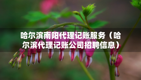 哈尔滨南阳代理记账服务（哈尔滨代理记账公司招聘信息）