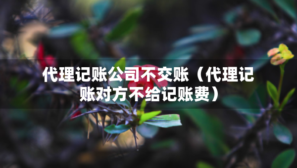 代理记账公司不交账（代理记账对方不给记账费）