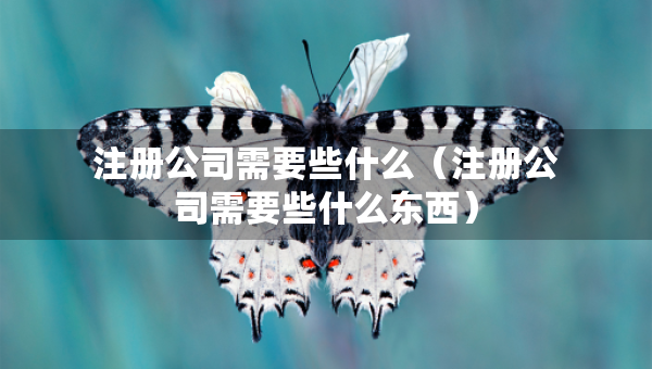 注册公司需要些什么（注册公司需要些什么东西）