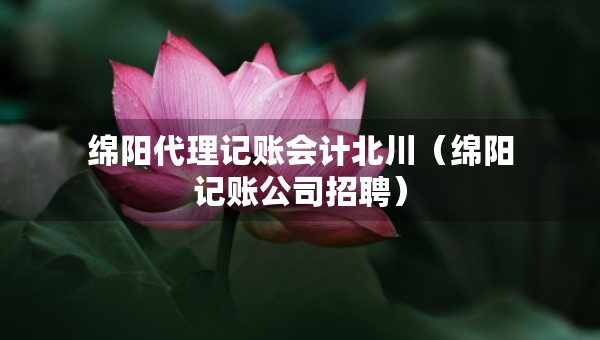 绵阳代理记账会计北川（绵阳记账公司招聘）