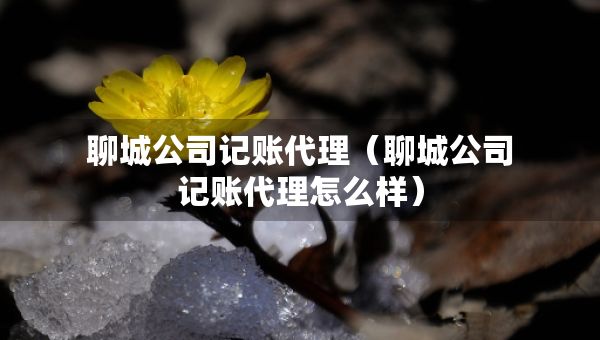 聊城公司记账代理（聊城公司记账代理怎么样）