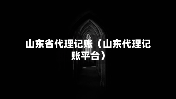 山东省代理记账（山东代理记账平台）