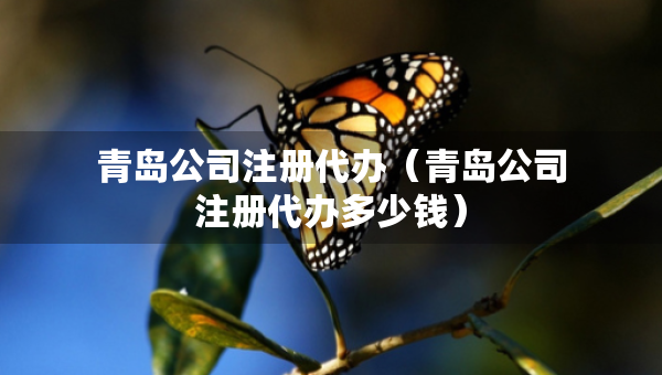 青岛公司注册代办（青岛公司注册代办多少钱）