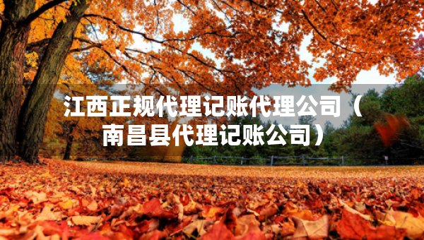 江西正规代理记账代理公司（南昌县代理记账公司）