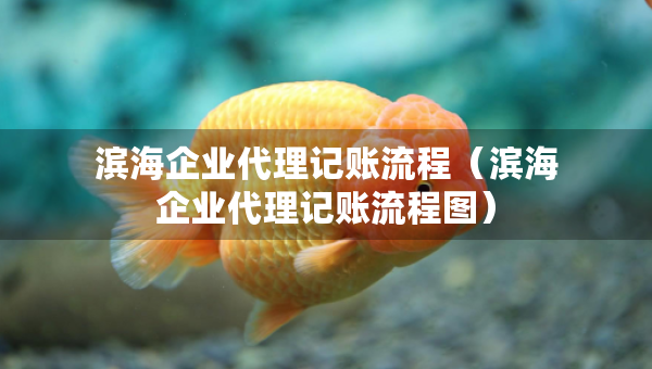 滨海企业代理记账流程（滨海企业代理记账流程图）