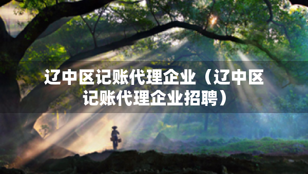 辽中区记账代理企业（辽中区记账代理企业招聘）