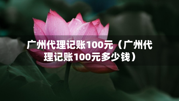 广州代理记账100元（广州代理记账100元多少钱）