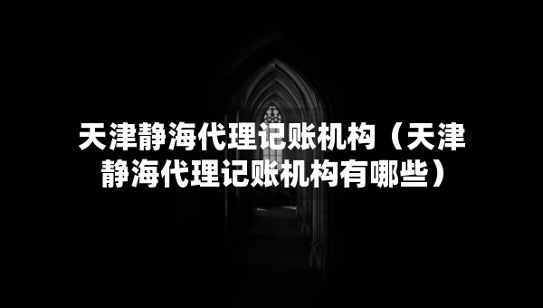 天津静海代理记账机构（天津静海代理记账机构有哪些）