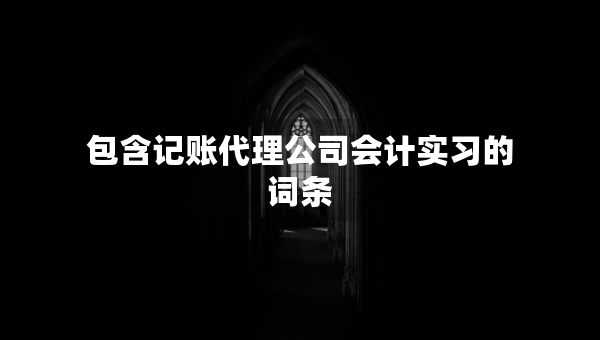 包含记账代理公司会计实习的词条