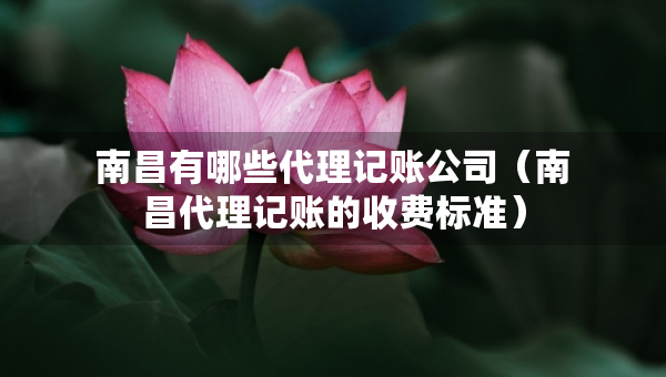 南昌有哪些代理记账公司（南昌代理记账的收费标准）