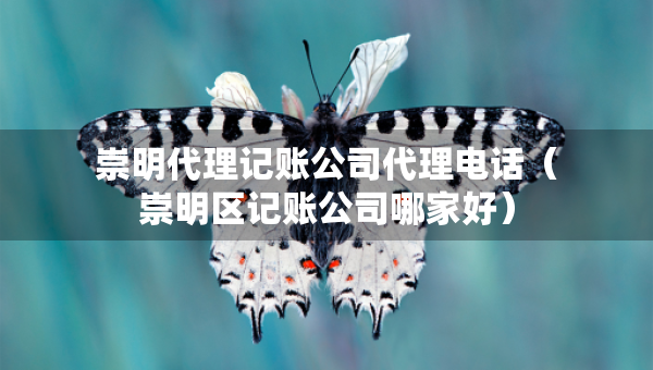 崇明代理记账公司代理电话（崇明区记账公司哪家好）