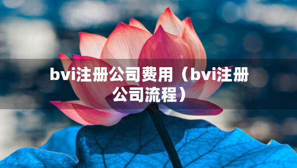 bvi注册公司费用（bvi注册公司流程）