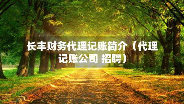 长丰财务代理记账简介（代理记账公司 招聘）