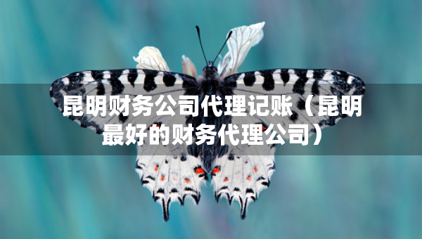 昆明财务公司代理记账（昆明最好的财务代理公司）