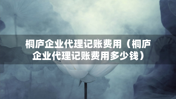 桐庐企业代理记账费用（桐庐企业代理记账费用多少钱）