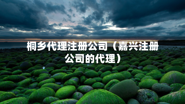 桐乡代理注册公司（嘉兴注册公司的代理）