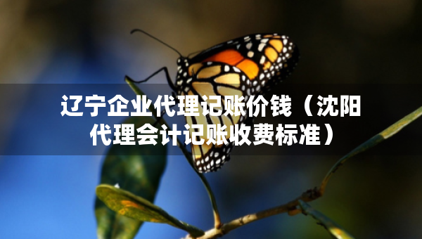 辽宁企业代理记账价钱（沈阳代理会计记账收费标准）