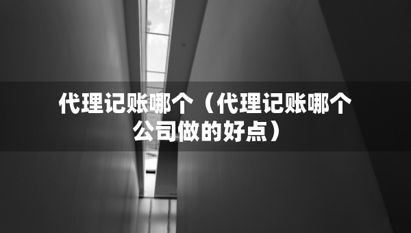 代理记账哪个（代理记账哪个公司做的好点）