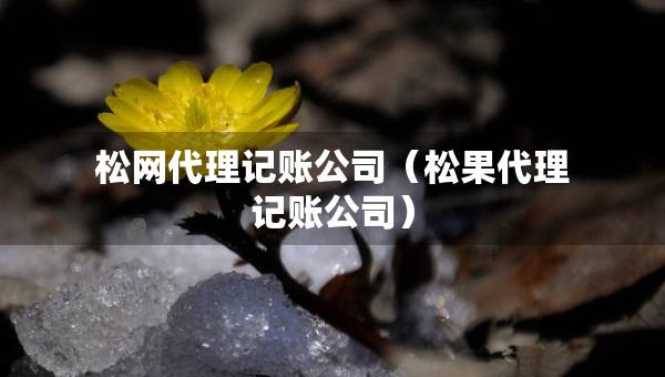 松网代理记账公司（松果代理记账公司）