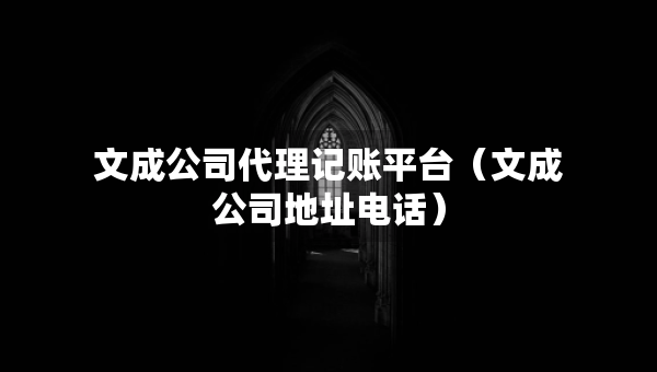 文成公司代理记账平台（文成公司地址电话）