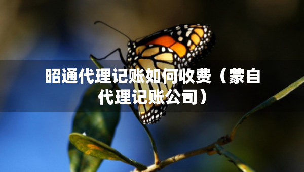 昭通代理记账如何收费（蒙自代理记账公司）