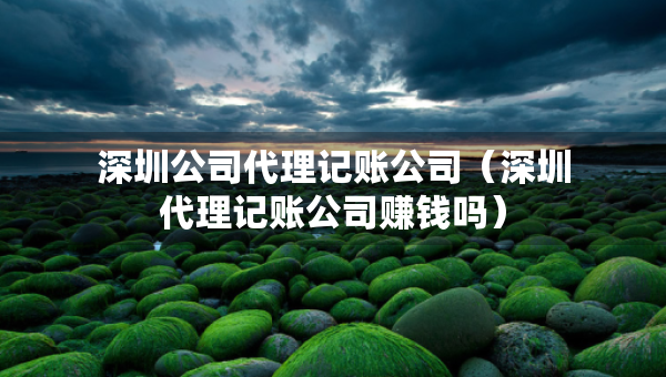 深圳公司代理记账公司（深圳代理记账公司赚钱吗）