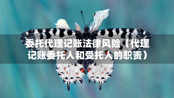 委托代理记账法律风险（代理记账委托人和受托人的职责）