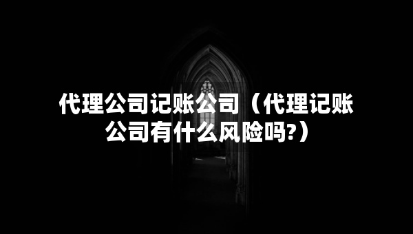 代理公司记账公司（代理记账公司有什么风险吗?）