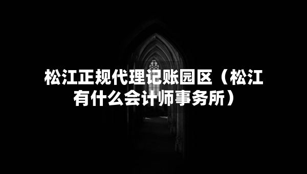 松江正规代理记账园区（松江有什么会计师事务所）