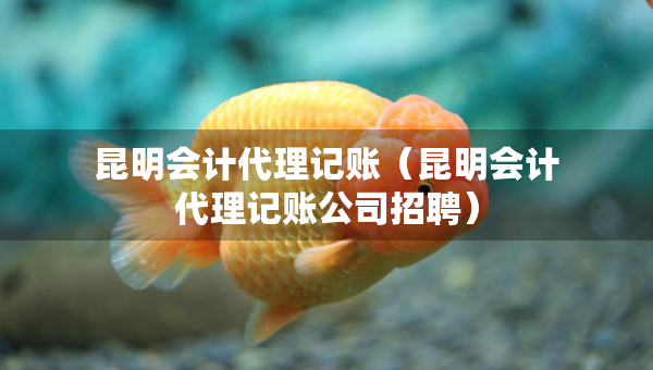 昆明会计代理记账（昆明会计代理记账公司招聘）