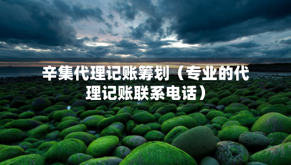 辛集代理记账筹划（专业的代理记账联系电话）