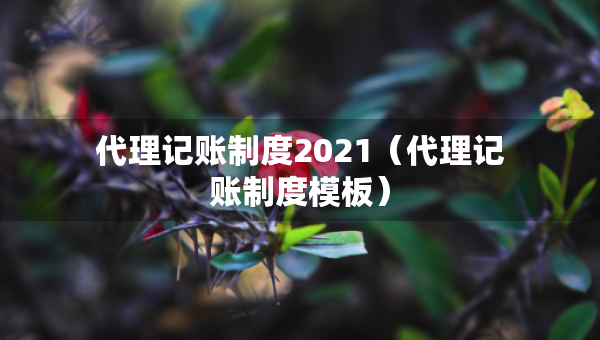 代理记账制度2021（代理记账制度模板）