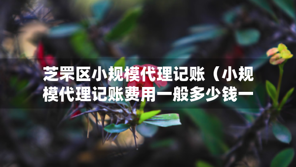 芝罘区小规模代理记账（小规模代理记账费用一般多少钱一个月）