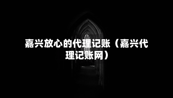 嘉兴放心的代理记账（嘉兴代理记账网）