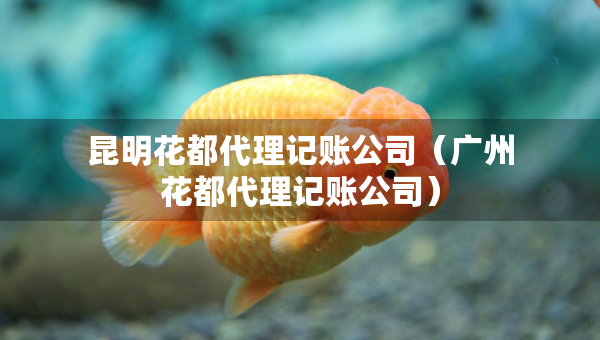 昆明花都代理记账公司（广州花都代理记账公司）