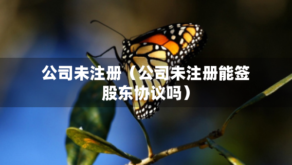 公司未注册（公司未注册能签股东协议吗）