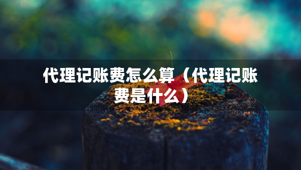 代理记账费怎么算（代理记账费是什么）