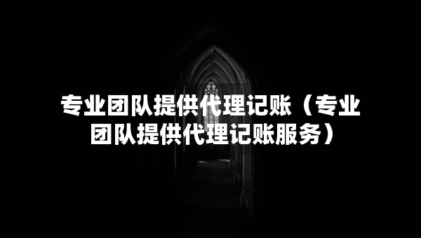 专业团队提供代理记账（专业团队提供代理记账服务）