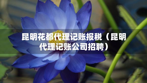 昆明花都代理记账报税（昆明代理记账公司招聘）