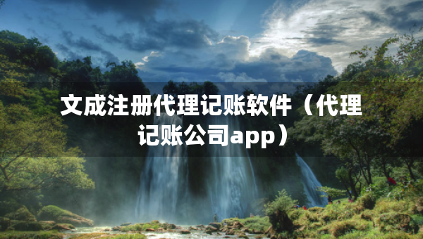 文成注册代理记账软件（代理记账公司app）