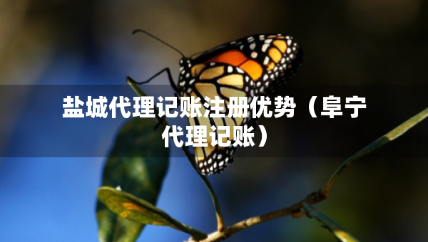 盐城代理记账注册优势（阜宁代理记账）