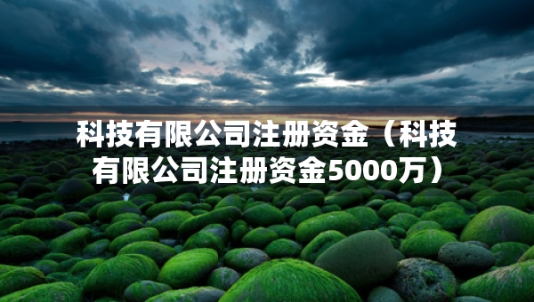 科技有限公司注册资金（科技有限公司注册资金5000万）