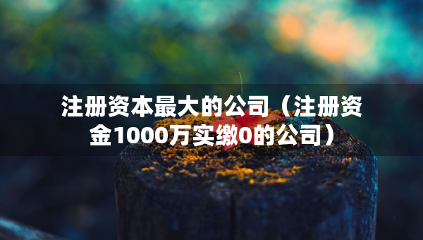 注册资本最大的公司（注册资金1000万实缴0的公司）