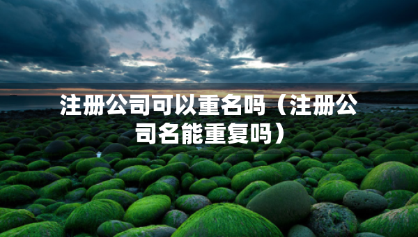 注册公司可以重名吗（注册公司名能重复吗）