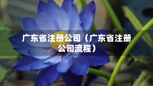 广东省注册公司（广东省注册公司流程）