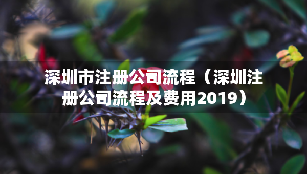 深圳市注册公司流程（深圳注册公司流程及费用2019）