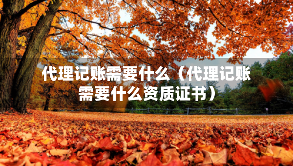 代理记账需要什么（代理记账需要什么资质证书）