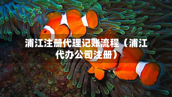 浦江注册代理记账流程（浦江代办公司注册）