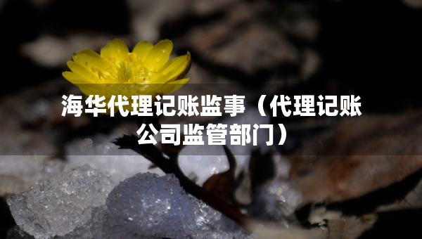 海华代理记账监事（代理记账公司监管部门）